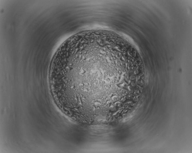 X0000071770863200606301153