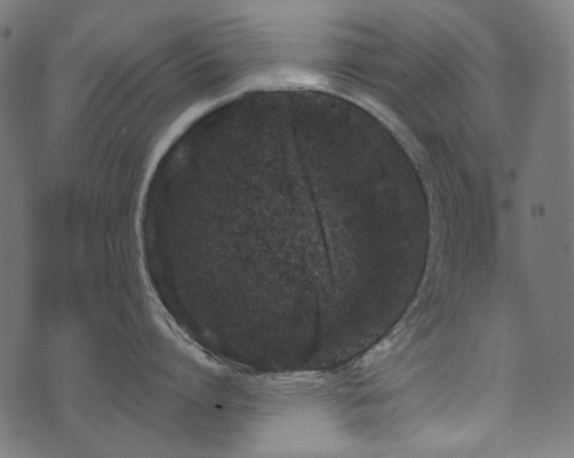 X0000071770864200606301153