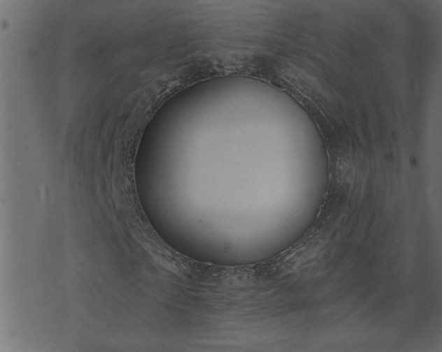 X0000071770865200606301153