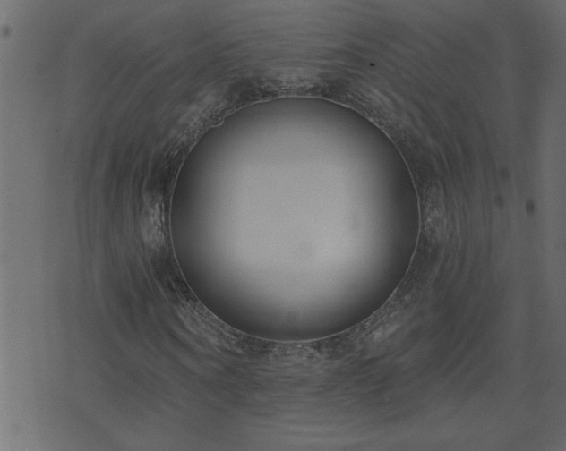 X0000071770866200606301153