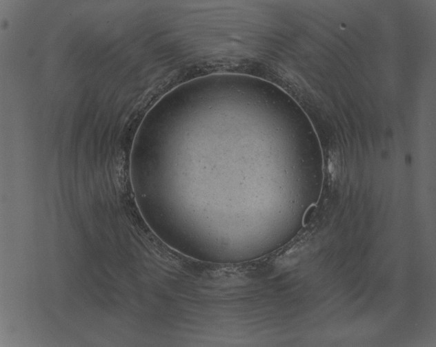 X0000071770867200606301153