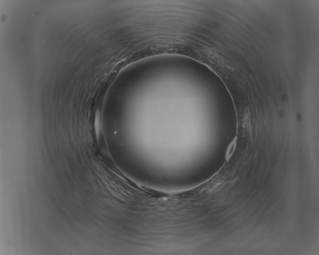 X0000071770868200606301153