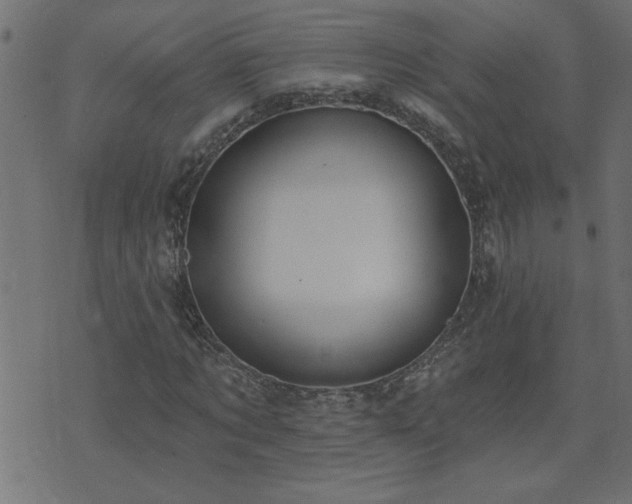 X0000071770869200606301153