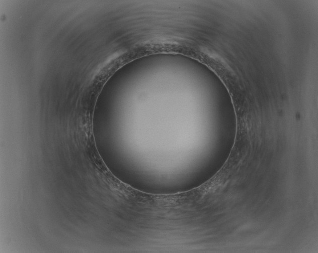 X0000071770870200606301153