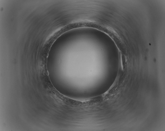 X0000071770872200606301153