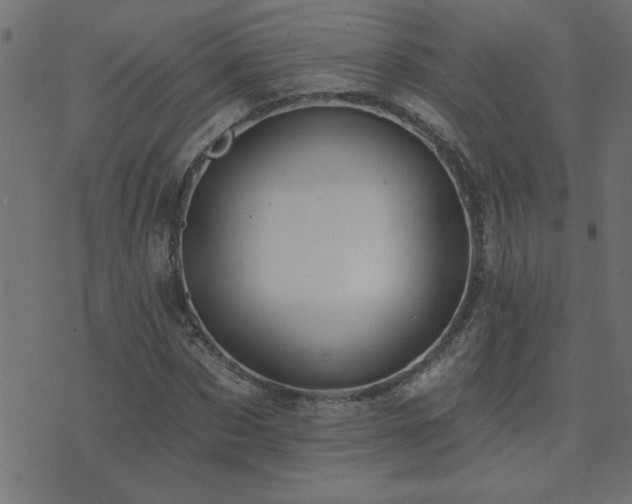 X0000071770873200606301153