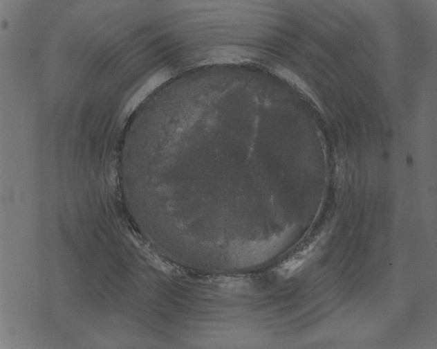 X0000071770874200606301153