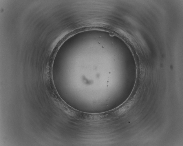 X0000071770875200606301153