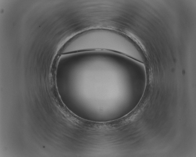 X0000071770876200606301153