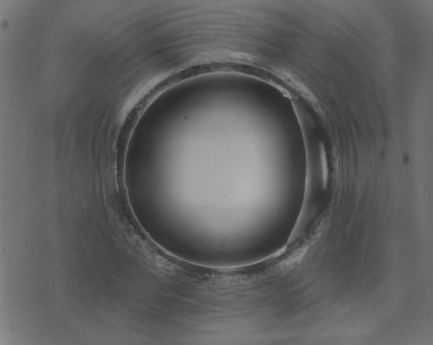 X0000071770877200606301152