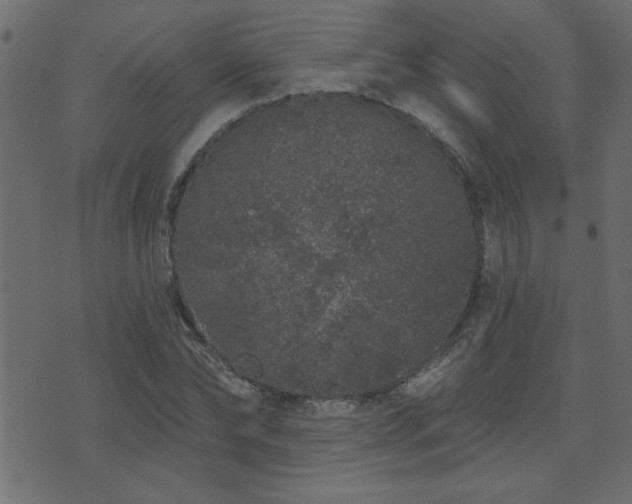 X0000071770878200606301152