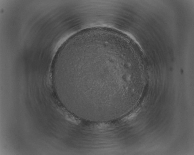 X0000071770879200606301152