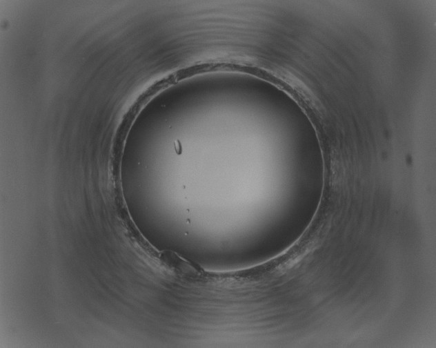 X0000071770880200606301152