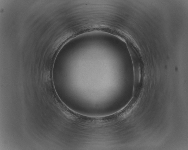 X0000071770881200606301152