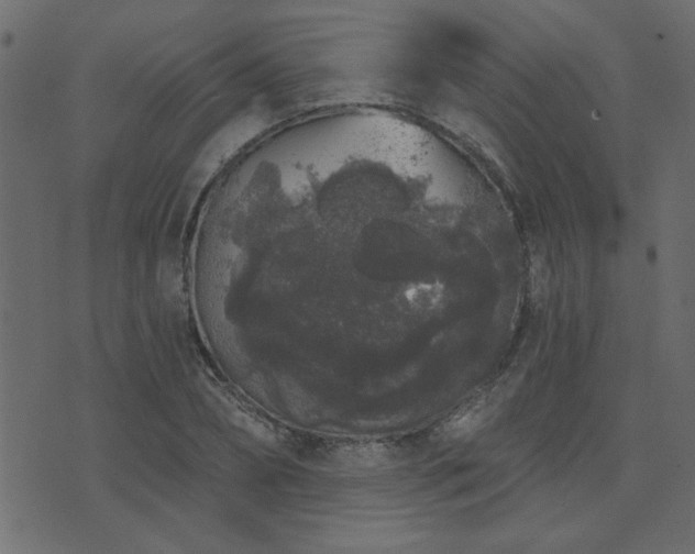 X0000071770882200606301152