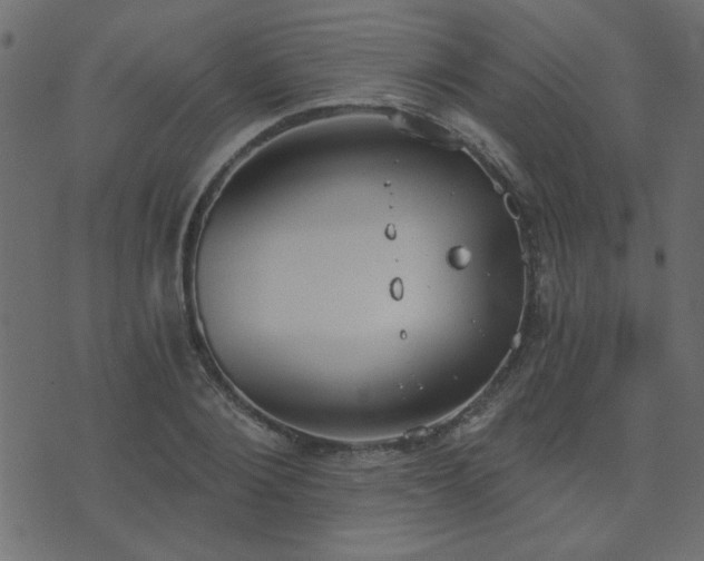 X0000071770884200606301152