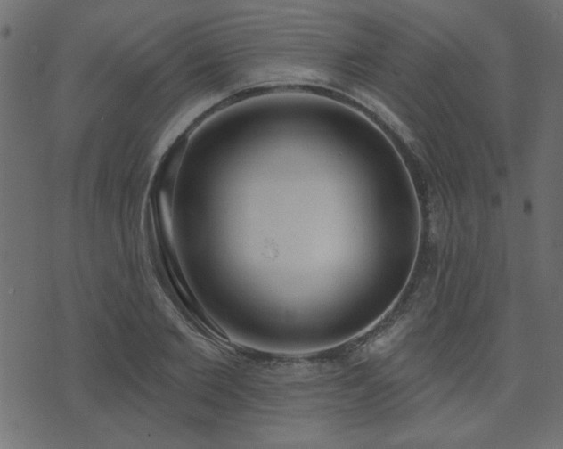 X0000071770885200606301152