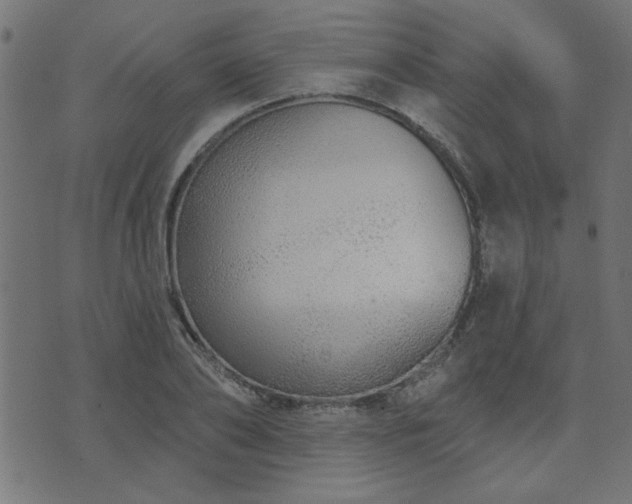 X0000071770886200606301152