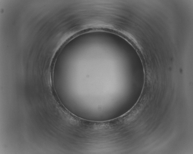 X0000071770887200606301152