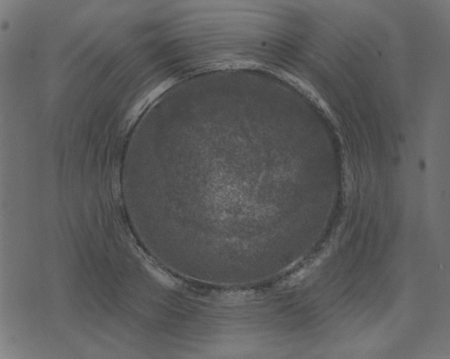 X0000071770889200606301152