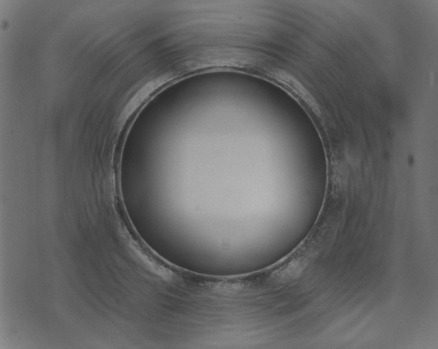 X0000071770890200606301152