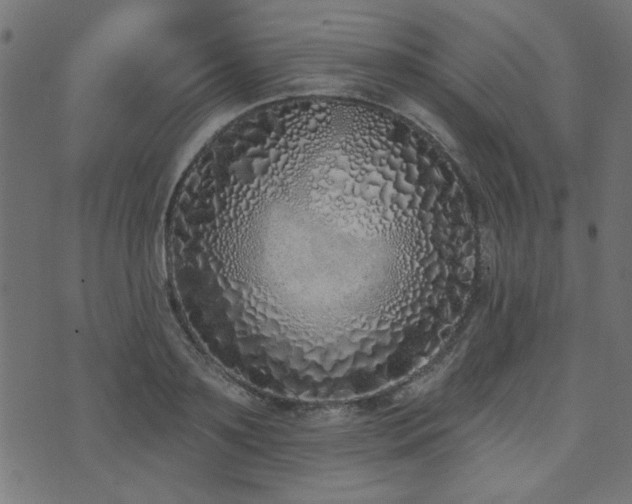 X0000071770891200606301152