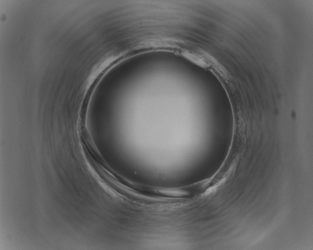 X0000071770893200606301152