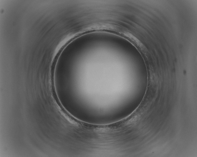 X0000071770894200606301152