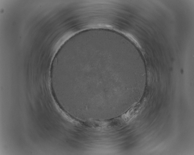 X0000071770895200606301152