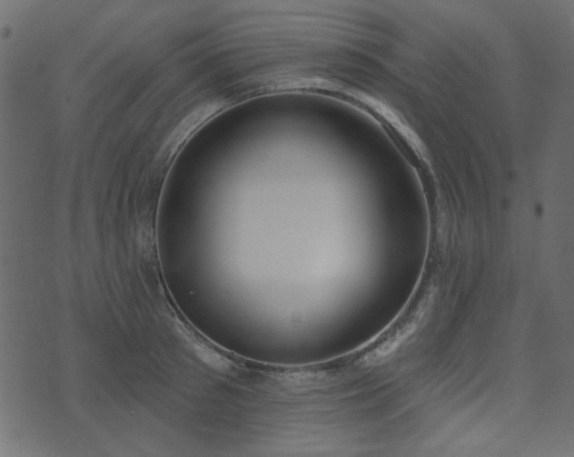 X0000071770897200606301152