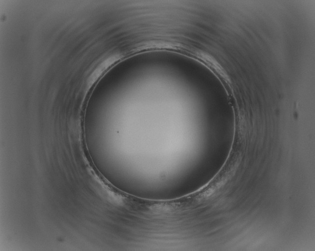 X0000071770898200606301152