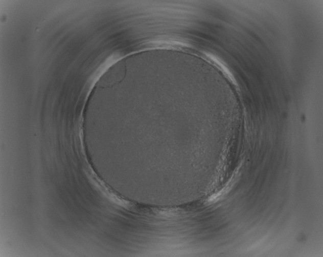 X0000071770899200606301152