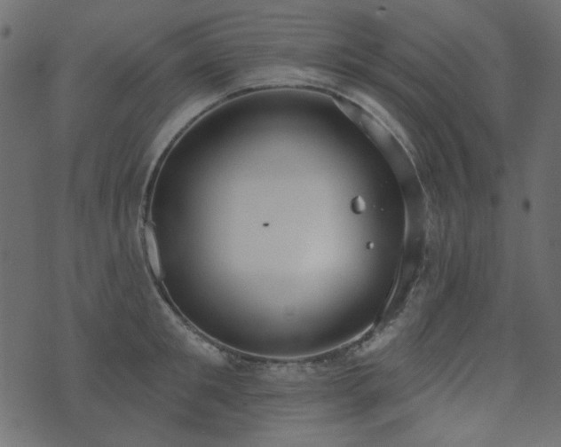 X0000071770901200606301152