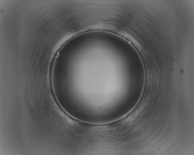 X0000071770902200606301152