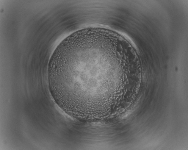 X0000071770903200606301152