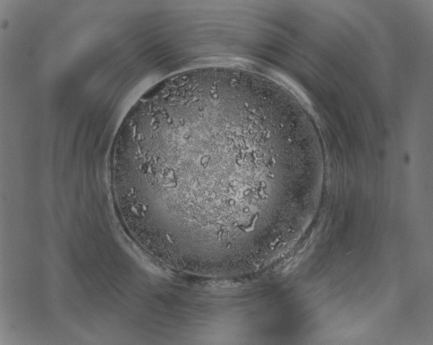 X0000071770907200606301152