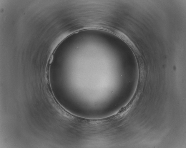 X0000071770908200606301152