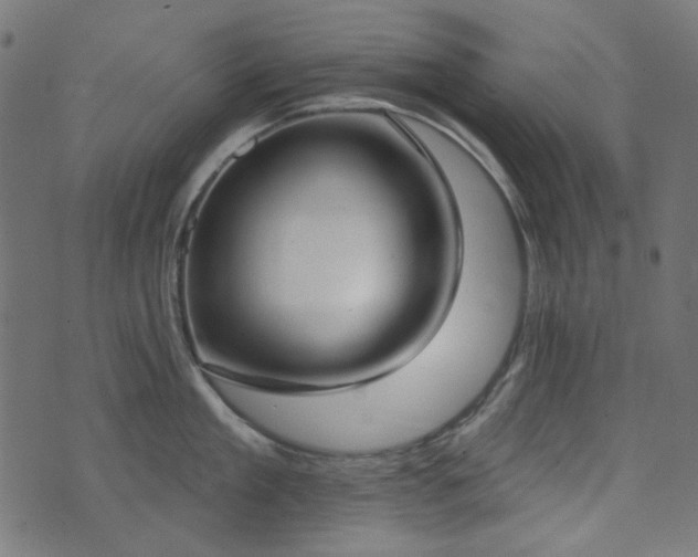 X0000071770909200606301152