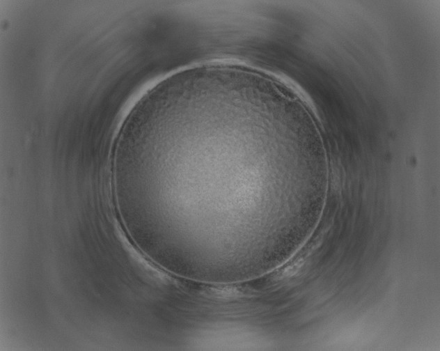 X0000071770911200606301152