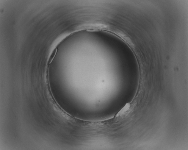 X0000071770912200606301152