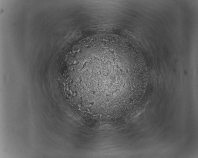 X0000071770913200606301151