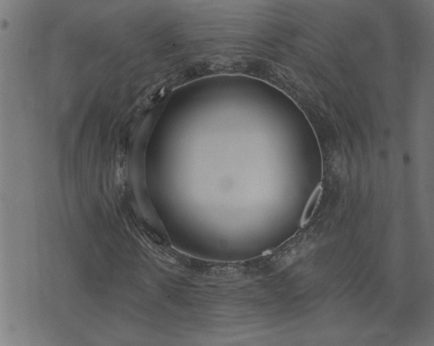 X0000071770914200606301151