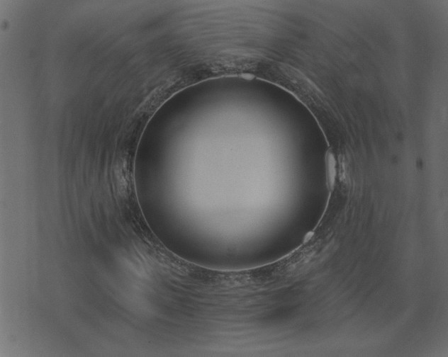 X0000071770915200606301151