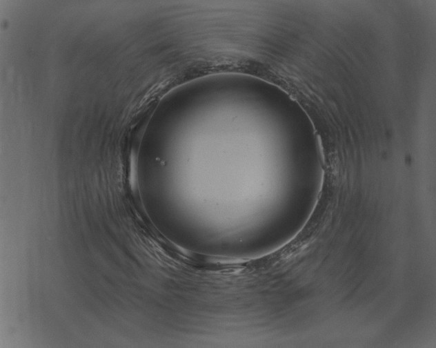 X0000071770916200606301151