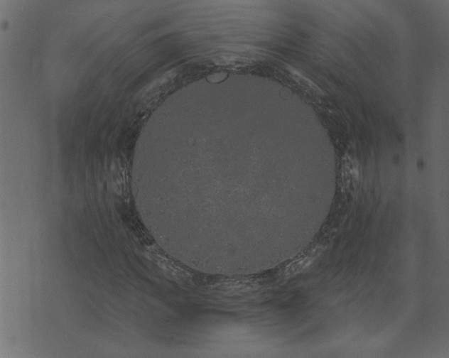 X0000071770917200606301151