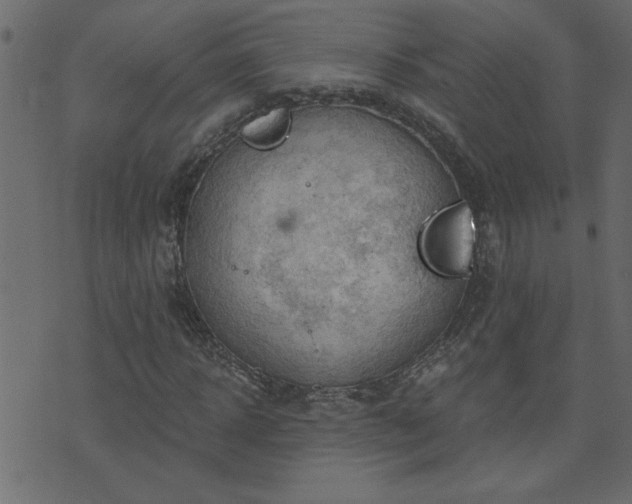 X0000071770918200606301151