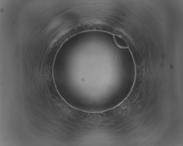 X0000071770919200606301151