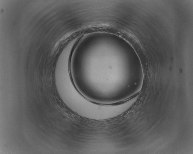 X0000071770920200606301151