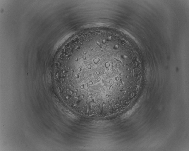 X0000071770921200606301151