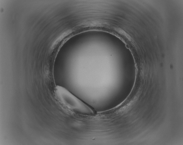 X0000071770922200606301151